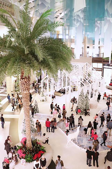 ホワイトクリスマスの横にサマーな樹があるのはご愛嬌