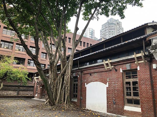 瓦屋根×赤レンガの建物×大きな木のコラボアート！？