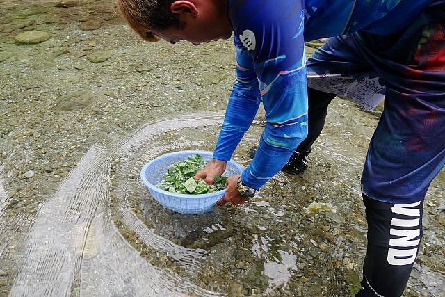 山菜を川の水で洗ったかと思ったら、、、