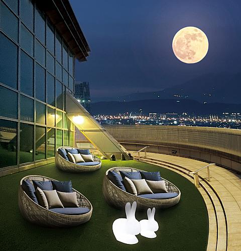 画像提供：台北101