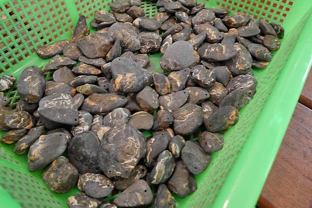 たくさんある石の中から好きなのを選びます