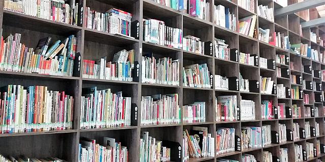 カメラに収まらない数の絵本の図書館