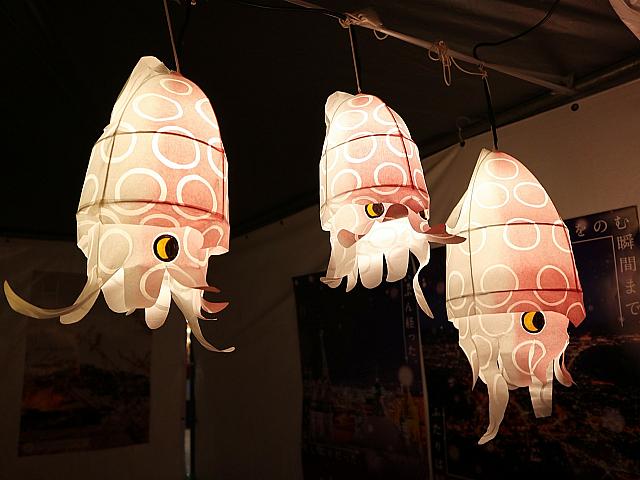 函館市はイカ・イカ・イカがいっぱい！