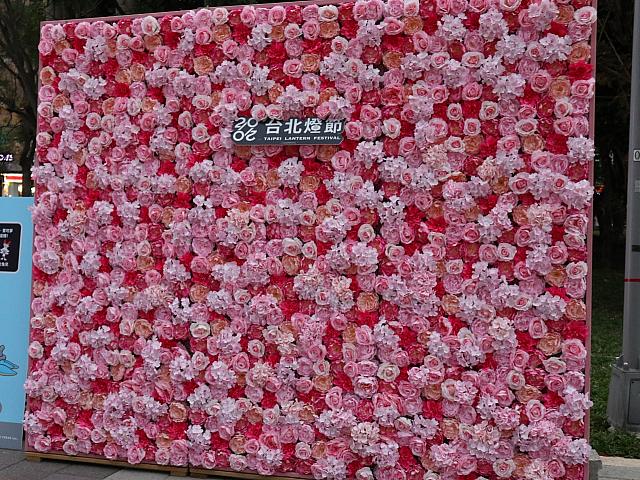映え写真が狙えそうな花の壁