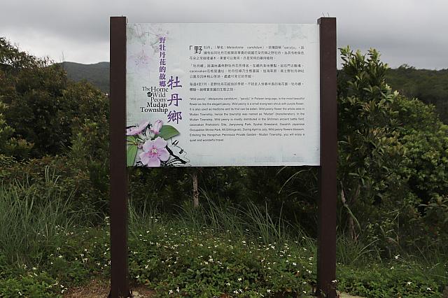 説明文もありますよ～