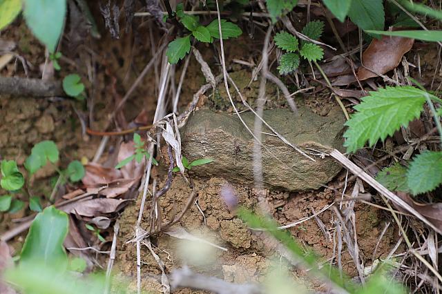 これが高士佛社らしい建材！