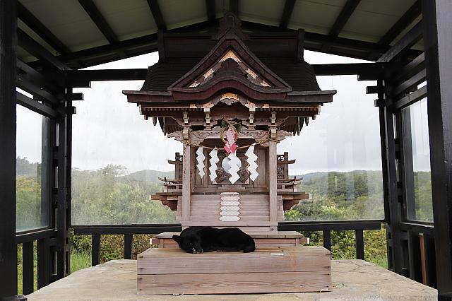 なんか黒い方がおられる……