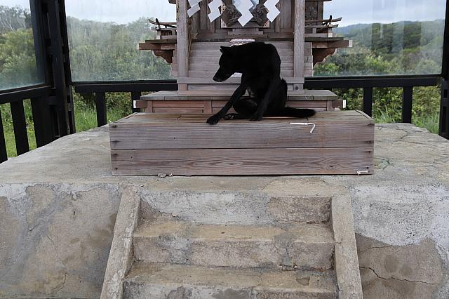 石垣の礎石(台座)はそのまま