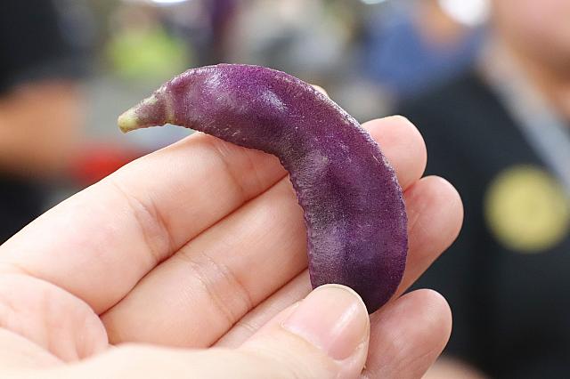 小っちゃなナス？紫色の枝豆？みたいなお豆さん