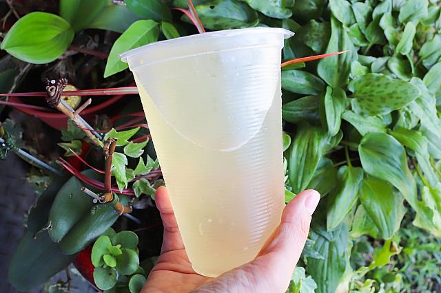 併設のドリンクスタンドで名物の石花凍ドリンクもゲット！