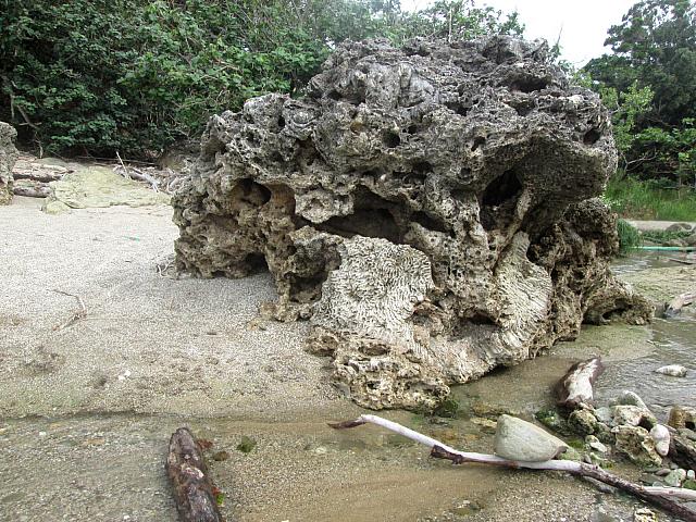 岩は、すべてサンゴ礁。 周囲の壁もサンゴでできています
