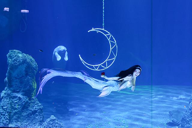 人魚姫と一緒に……