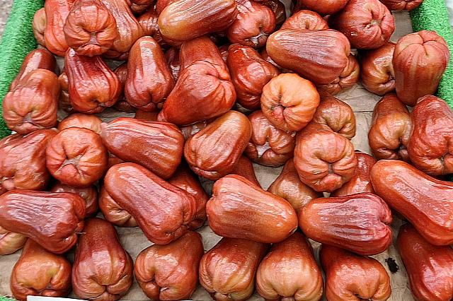 この赤々とした蓮霧、見るからにおいしそう！「紫蜜」という品種だそう！