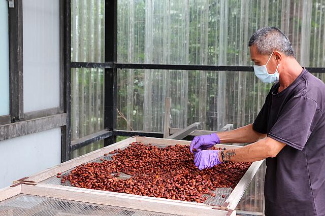 乾燥：すでに漂うチョコの匂い！