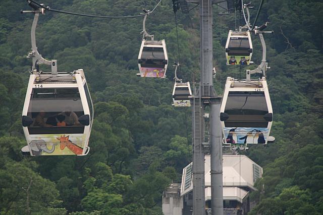 猫空ロープウェイ