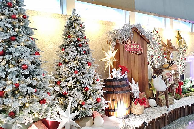 さて、1階に下りて到着ロビーも歩いてみたら、この時期はクリスマス仕様！