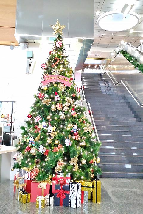 インフォメーション脇にはクリスマスツリーも！