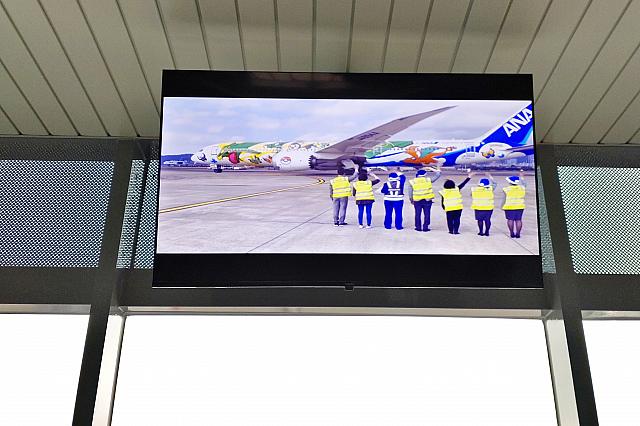 頭上にはモニターも。ピカチュウジェット！てっきりライブ映像かと思いきや、違うみたい……