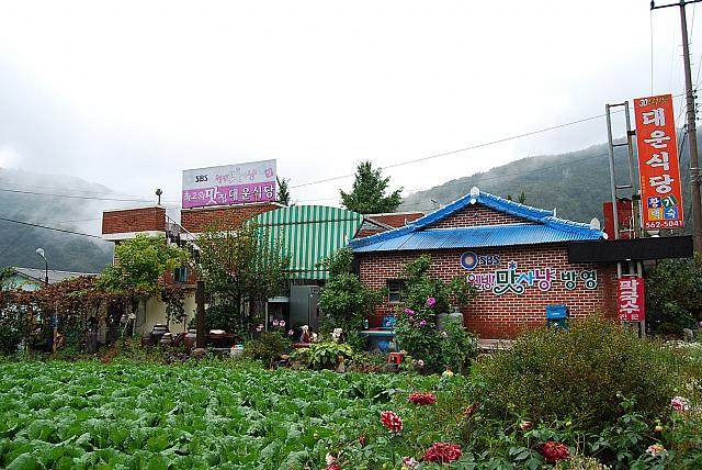 韓国の山菜「コンドゥレ」を使った釜ごはんが人気の素朴な食堂