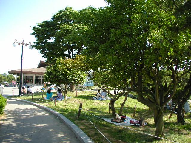 人々の安息の場、鳥達の休息の場、自然からの贈られた島！