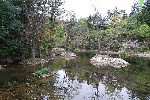 韓国で一番大きな天然樹林がある雄大な自然国立公園