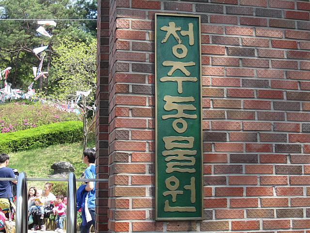 さまざまな動物達と身近でふれあえる忠清北道にある動物園！！