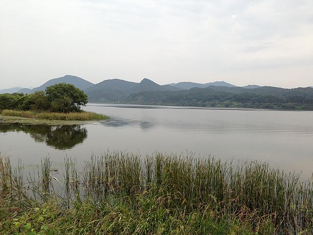 水辺の美しい景色を見ながら散策できる公園