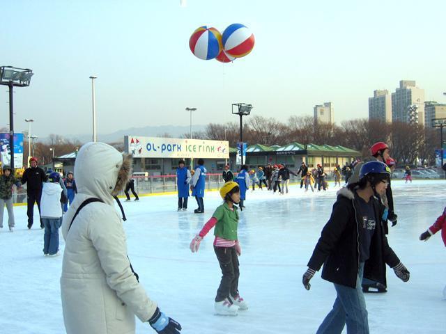 冬限定！オリンピック公園内のアイススケートリンク！