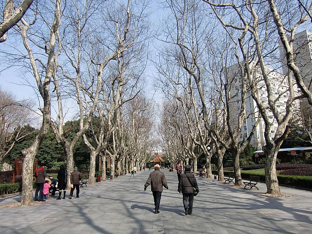 市中心に位置する活気あふれる市民のオアシス。ショッピングの合間に古き良き上海の公園の姿を眺めよう。