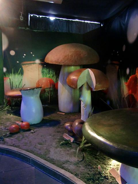 あらゆる角度から中国のキノコを展示!　奉賢区に位置するキノコ尽くしのミュージアム。