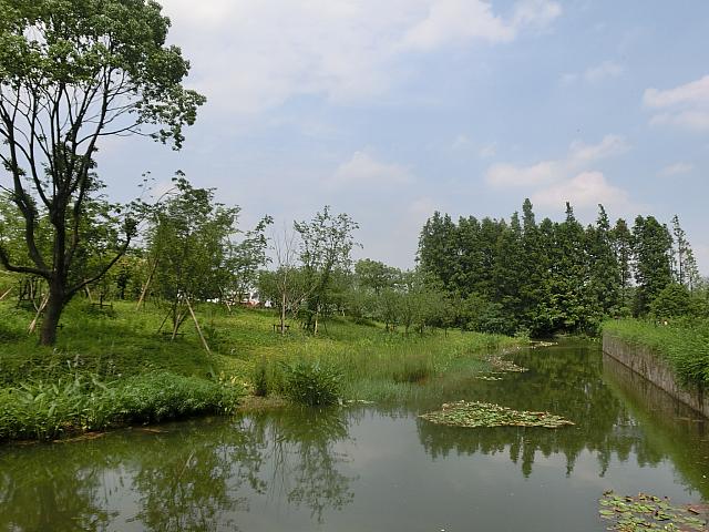 園内では音楽フェスも開催!　「上海ディズニーランド」に隣接する広大な自然公園。