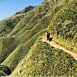 【2020年は山岳旅行イヤー】今一番人気の観光地「抹茶山」で台湾...