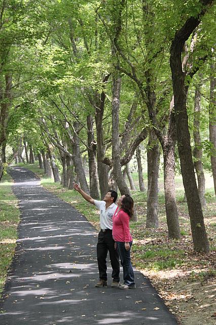 芝生が一面に広がるレジャー農場で食べる料理、身体にもいいものばかりを使ったスローフードでした！