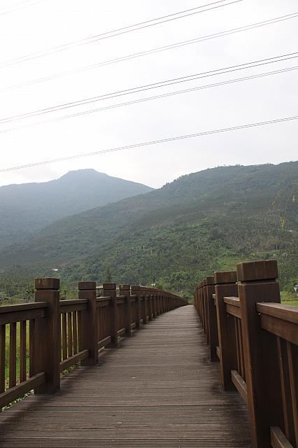 花蓮縣最大の生態湿地！希少な植物にも出会えます