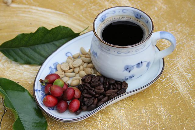 世界で最も高価なコーヒーとして知られてコピ・ルアク、台湾東部の台東で発見！
