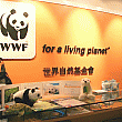 パンダショップ(WWF) パンダショップ(WWF)