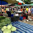今回もタイ東北地方で市場が開いていました。