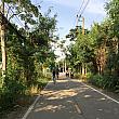 緑豊かな道を自転車でさっそうと走ります。風が涼しくて気持ちいいのは、乾季ならでは。土日なら、タイ人に人気のバーン・ナムプン水上マーケットも楽しめます。