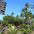 イースター島もハワイと同じく、おそらく紀元300年から400年頃、ポリネシア人が入植したのだとか。と、このようにポリネシアについていろいろと学べる、ポリネシアカルチャーセンターでした！