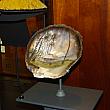 ステキな工芸品・・・貝殻に描かれた絵画は、バニース・パウアヒ・ビショップ王女が描いたものとされています。