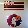 機体に塗装されたハワイ州旗とハワイアン航空のロゴ。
