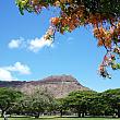 ナビが選ぶ！　ハワイに来たら訪れるべきスポットBEST10