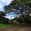ヘイアウとは古代ハワイ宗教の祭祀場。