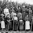 サトウキビ、コーヒー、パイナップル等の栽培の労働力としてハワイに移民した日本人一世