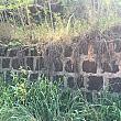 収容所の施設は収容された日系人自らが作らされました。この石垣もそのひとつ。日本式の作り方をした石垣でした。
