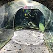 子供なら、こんなトンネルに入ってじっくり魚たちを観察したり。（残念ながら大人にはちょっとサイズが小さいトンネルです）