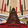 カハラ・モールの正面エントランスを入ると、ポインセチアで作られたクリスマスツリーが。近くで見惚れる方も少なくありません。