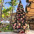 前回のほっとハワイでもご紹介しましたが、ホノルルの街はクリスマス模様。ロイヤル・ハワイアン・センターのクリスマスツリー、かなり大きめ。前でスマホやカメラを構える人、あとを絶ちません。