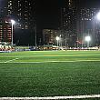 香港フットボールスタジアムのグランド。ゴールの後ろ側にはマンション群が
