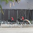 “馬術劇場”と言われ、本番では30頭近い馬とパフォーマーが間近で見られるんですよ。外で本番前のウォームアップ中のようです。